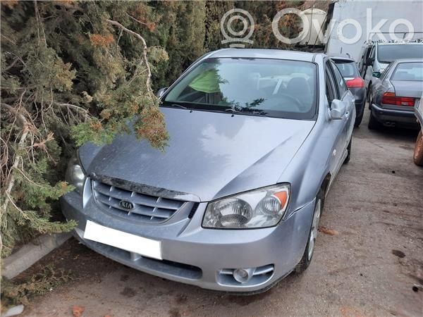 Cerato Cerato  113329