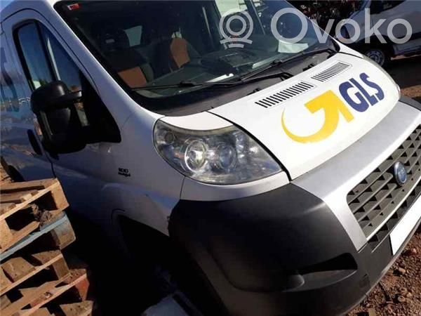 Ducato Ducato