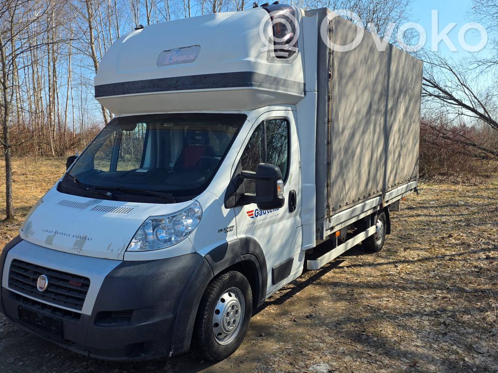 Ducato Ducato  5944597