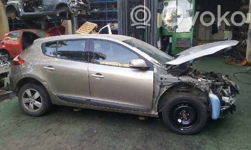 Megane III Megane  255670019RB