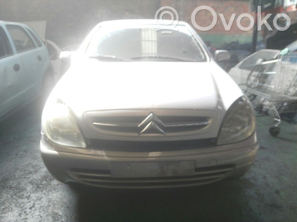 Xsara Xsara, Xsara Picasso