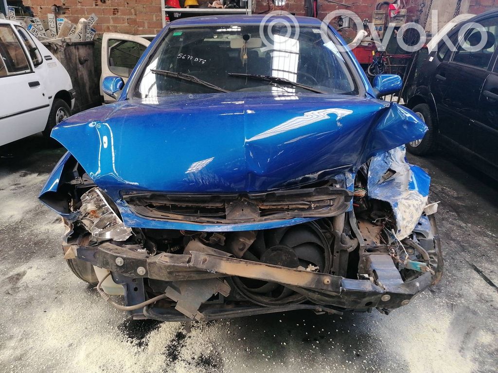 Xsara Xsara, Xsara Picasso