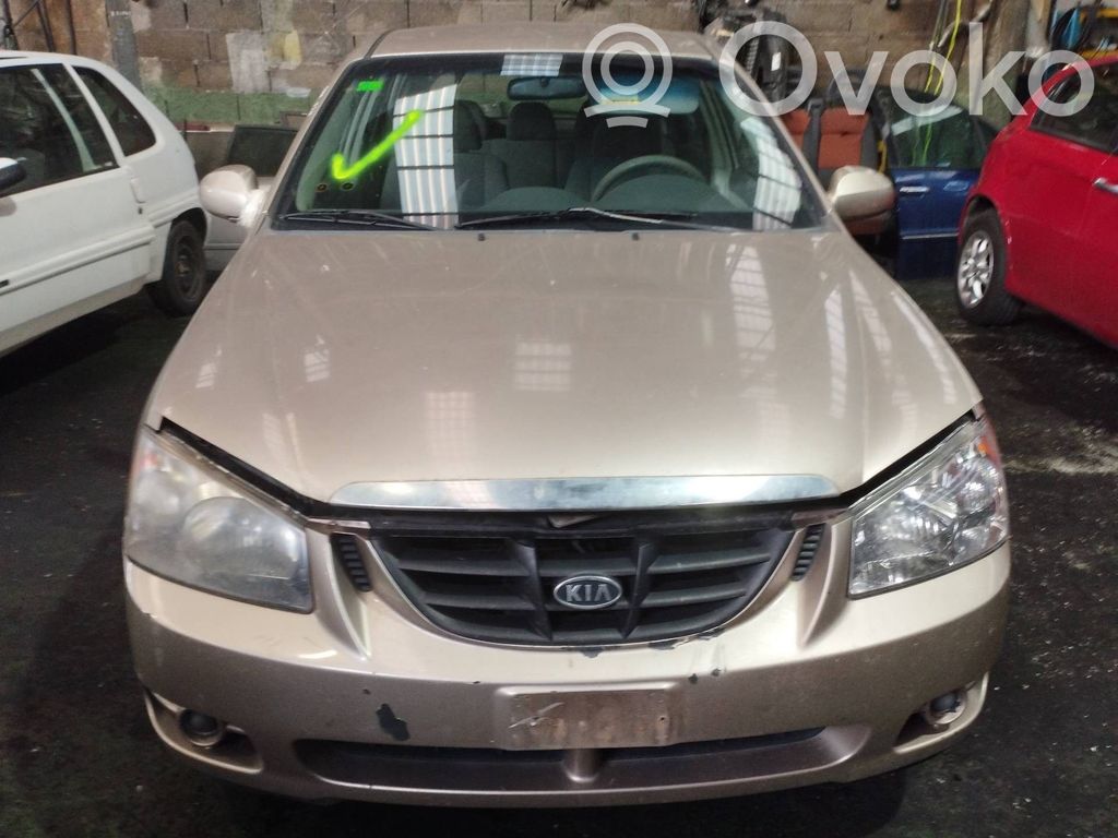 Cerato Cerato  924012F2L