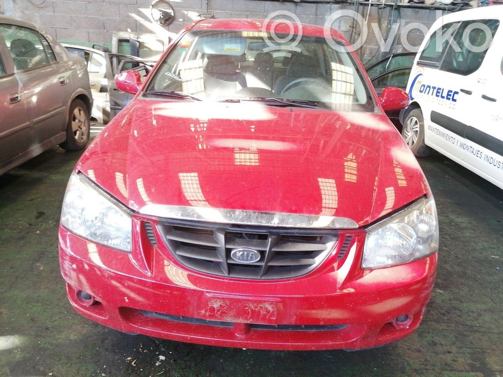 Cerato Cerato