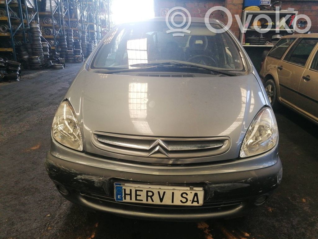 Xsara Xsara, Xsara Picasso