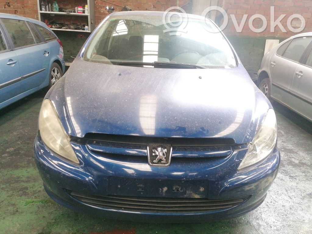 307 307  96563491XT