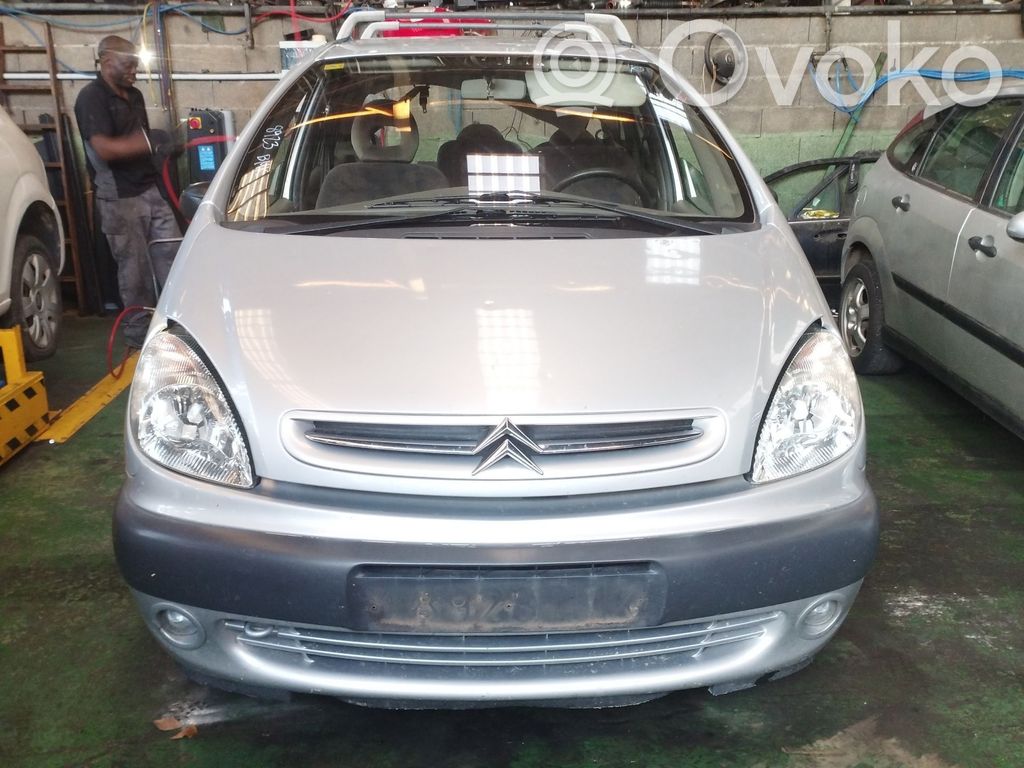 Xsara Xsara, Xsara Picasso