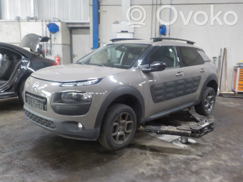 C4 Cactus C4 Picasso, Grand Picasso, Aircross, Cactus