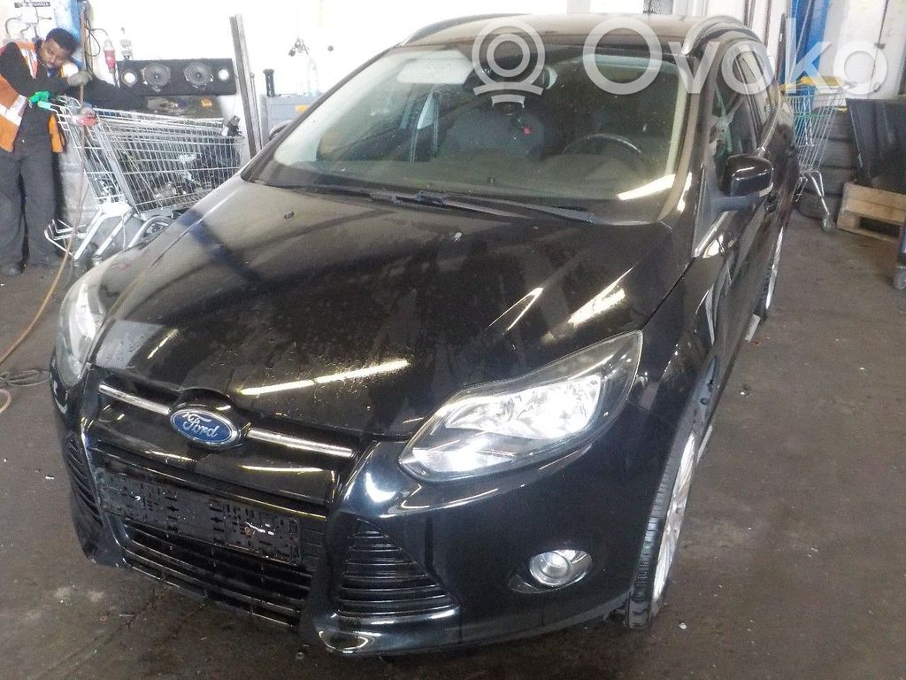 Focus Focus  1775997