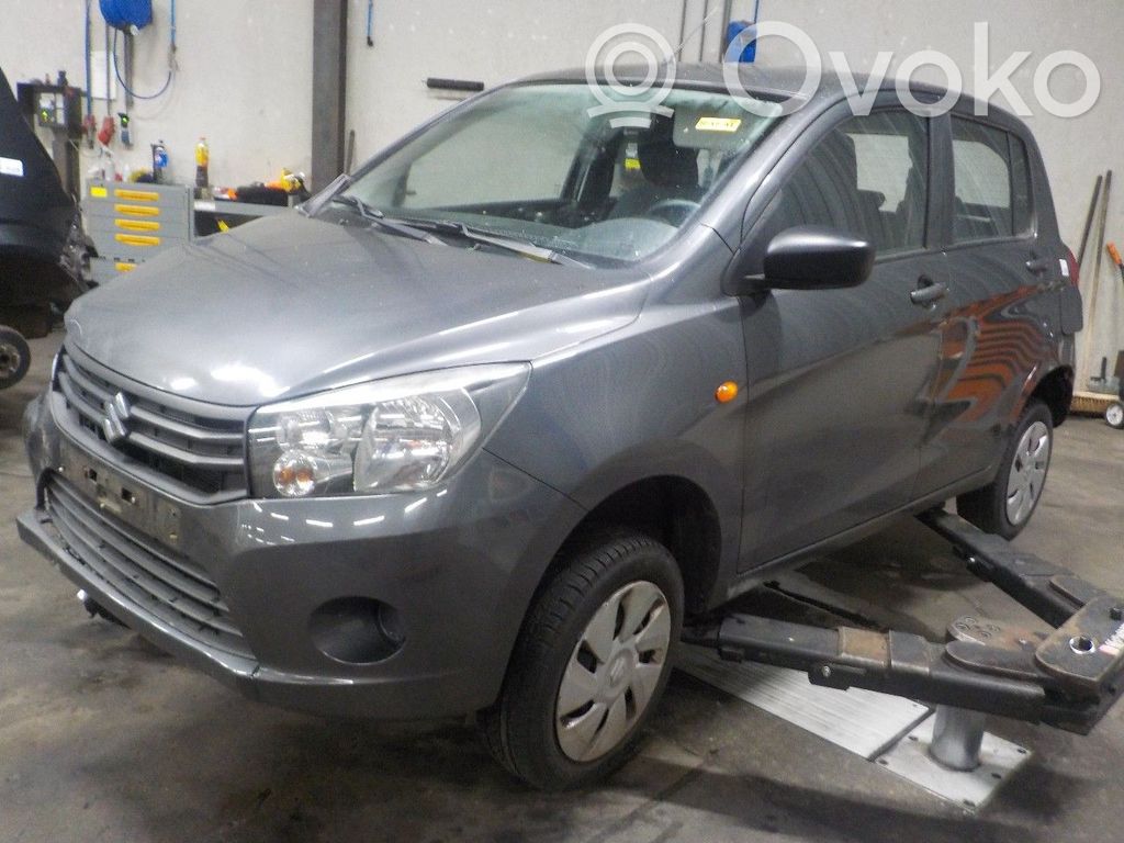 Celerio Celerio  3140084M0
