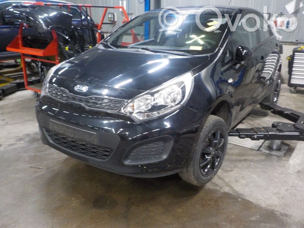 Rio Rio  589201W505
