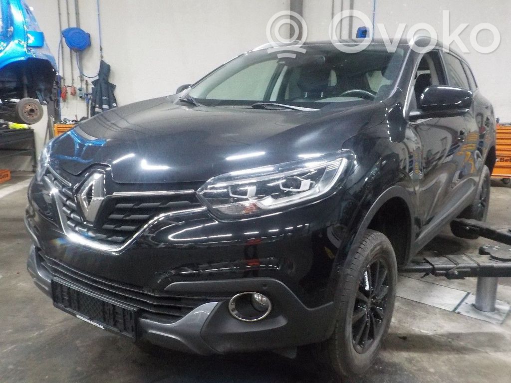 Kadjar Kadjar  18BC0057