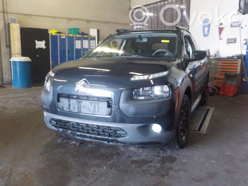 C4 Cactus C4 Picasso, Grand Picasso, Aircross, Cactus  98004092ZD