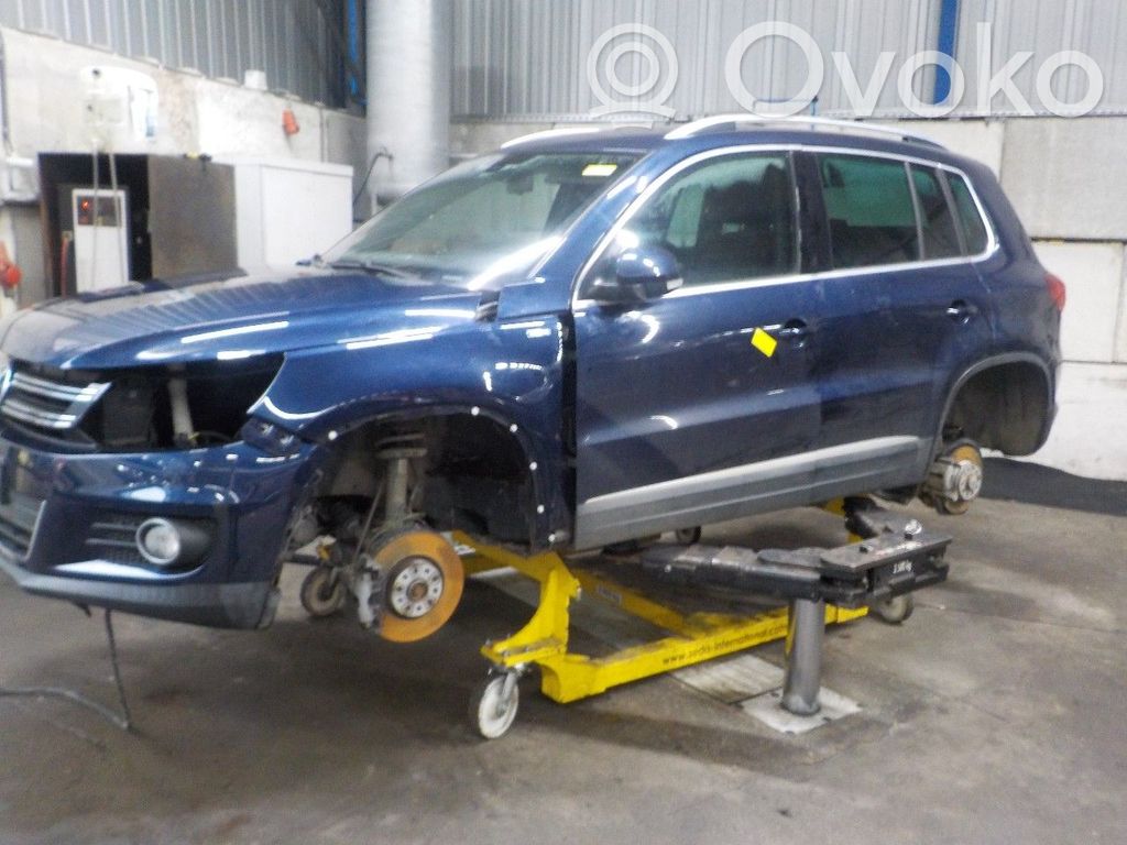 Tiguan Tiguan