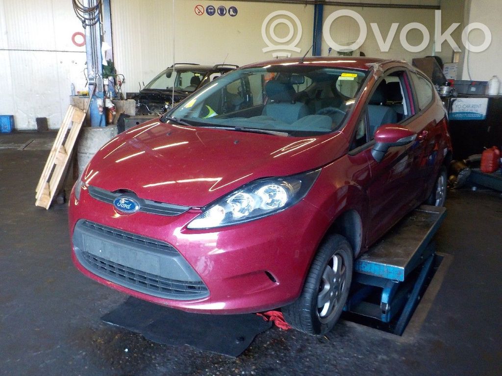 Fiesta Fiesta  3736C