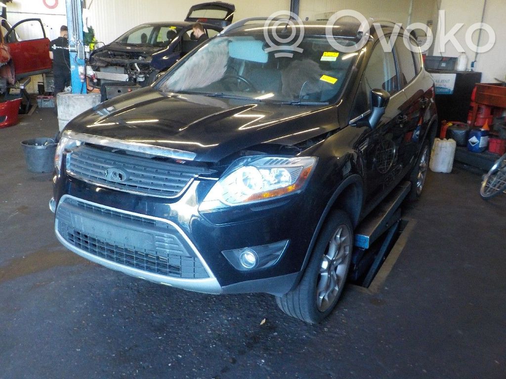 Kuga I Kuga