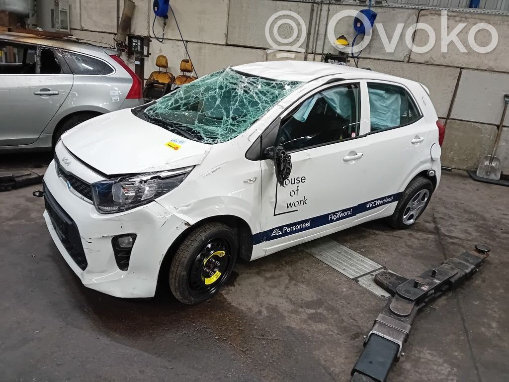 Picanto Picanto  61008428