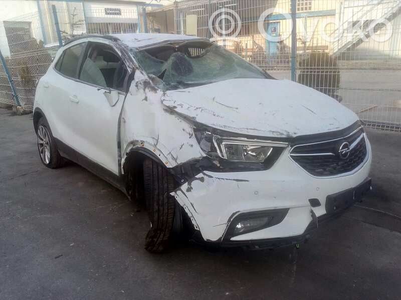 Mokka X Mokka  42693255