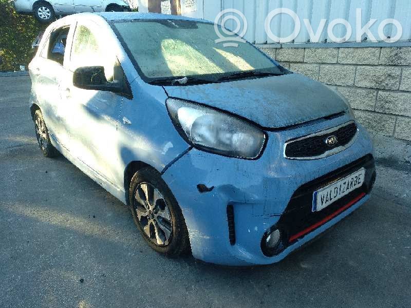 Picanto Picanto  3911704091