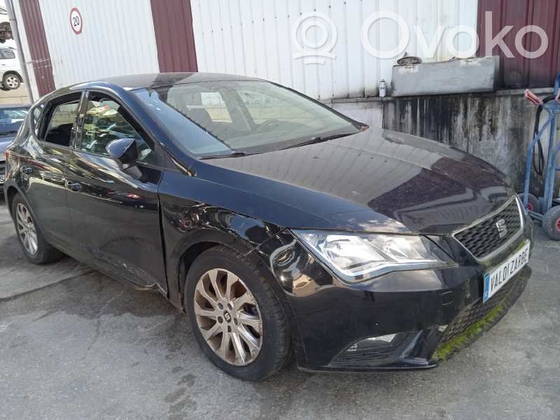 Leon (5F) Leon  5F0035871