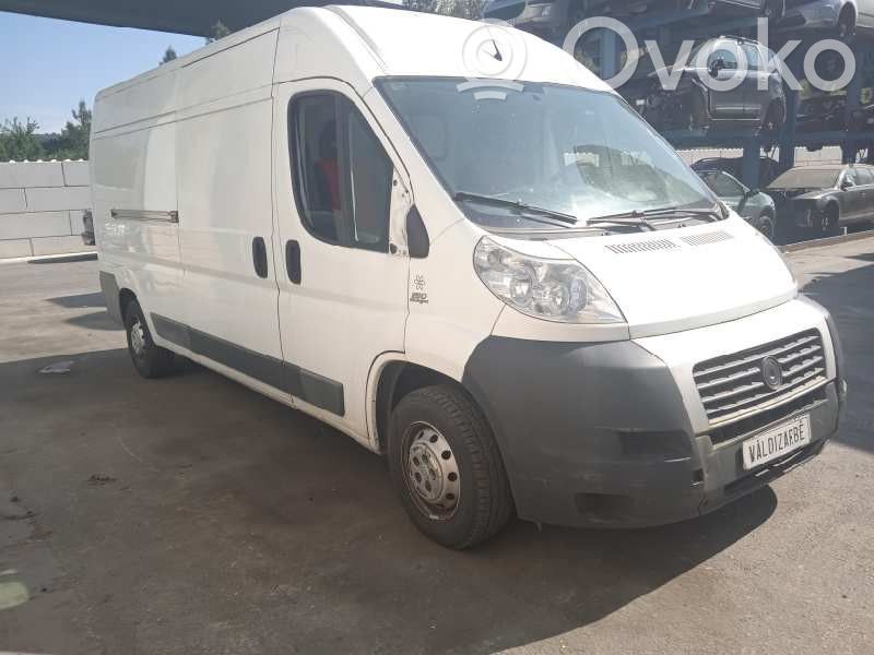 Ducato Ducato  77365977