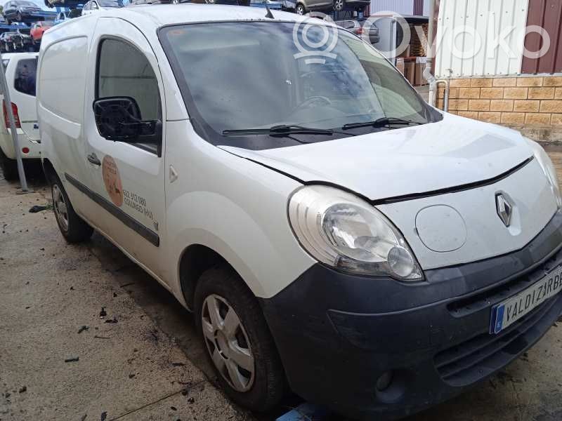 Kangoo II Kangoo  248105520R