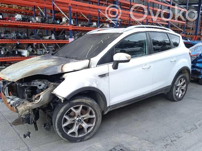 Kuga I Kuga  1747663