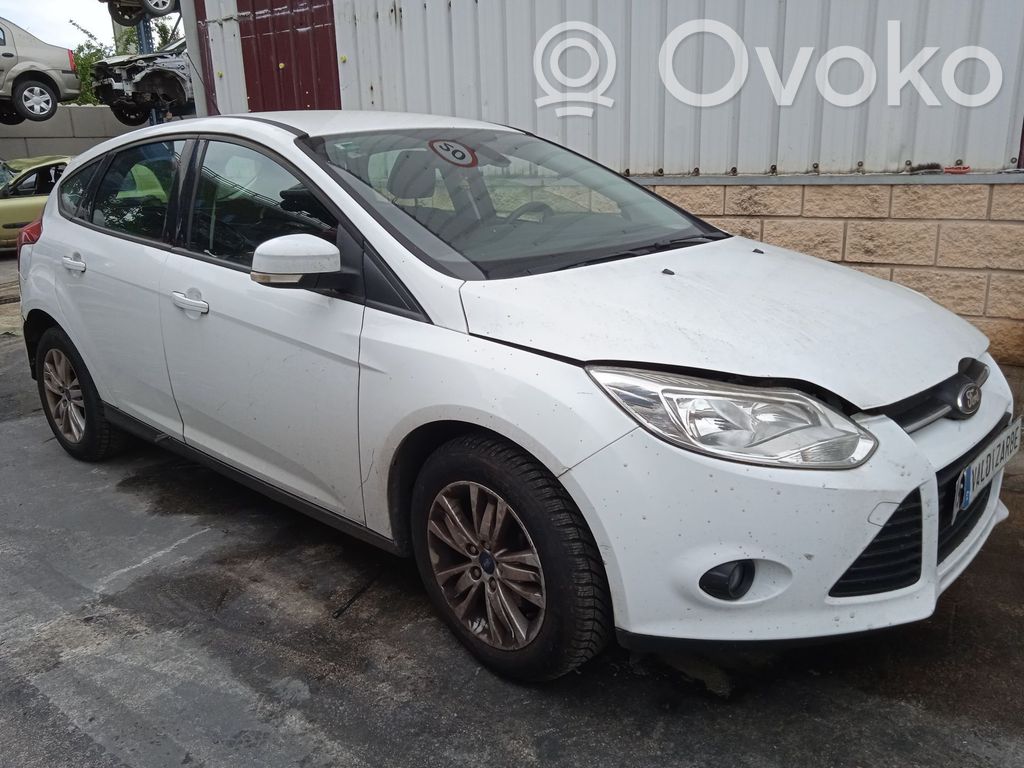 Focus Focus  1926039