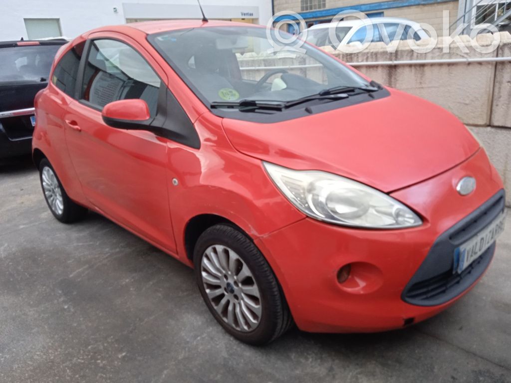 Ka Ka  1551799