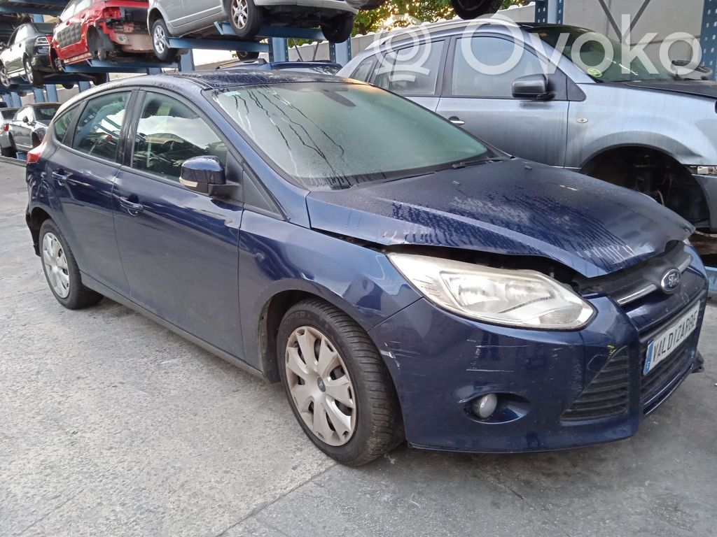 Focus Focus  1852397