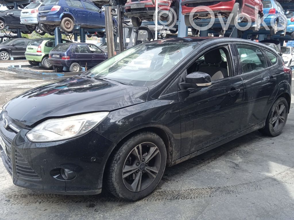 Focus Focus  2147846