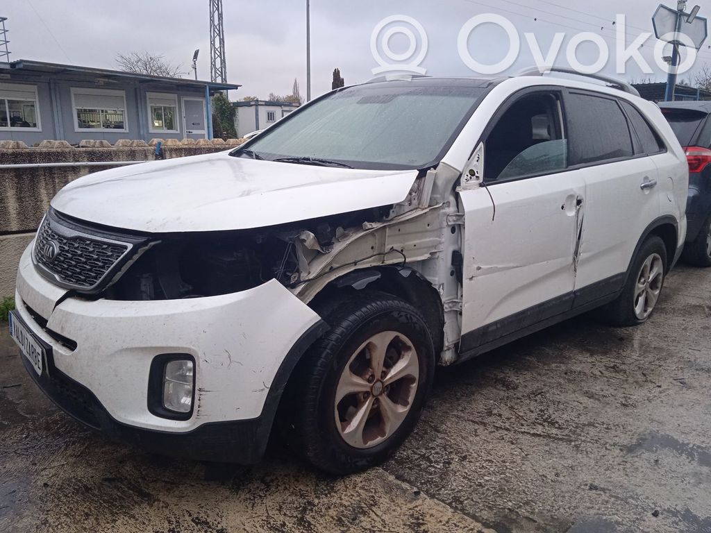 Sorento Sorento  391012F850