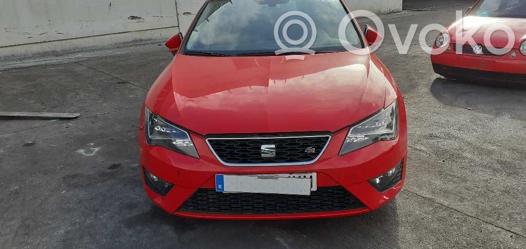 Leon (5F) Leon