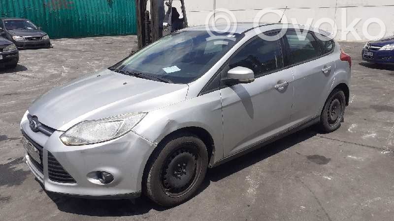 Focus Focus  2048039