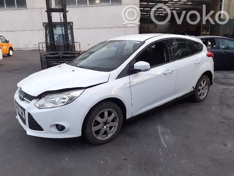 Focus Focus  172992