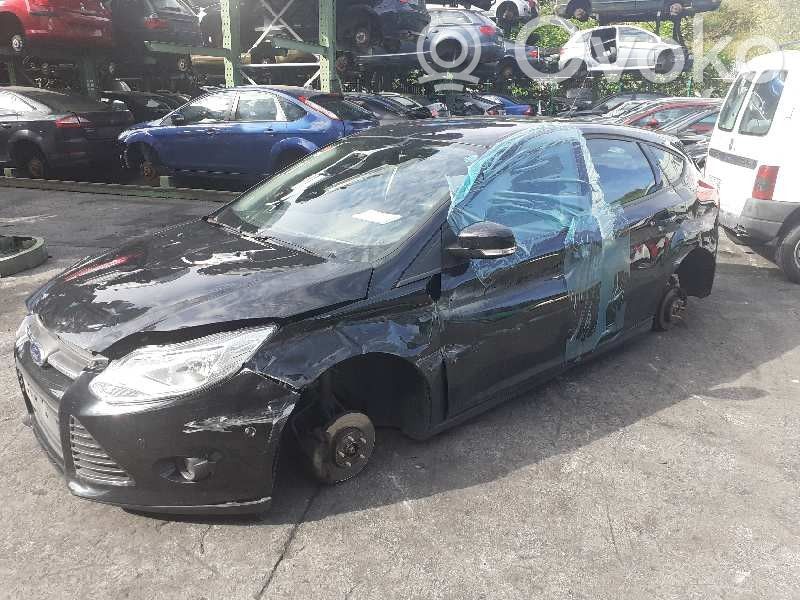 Focus Focus  1894721