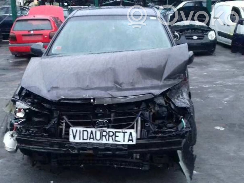Cerato Cerato  3910327061