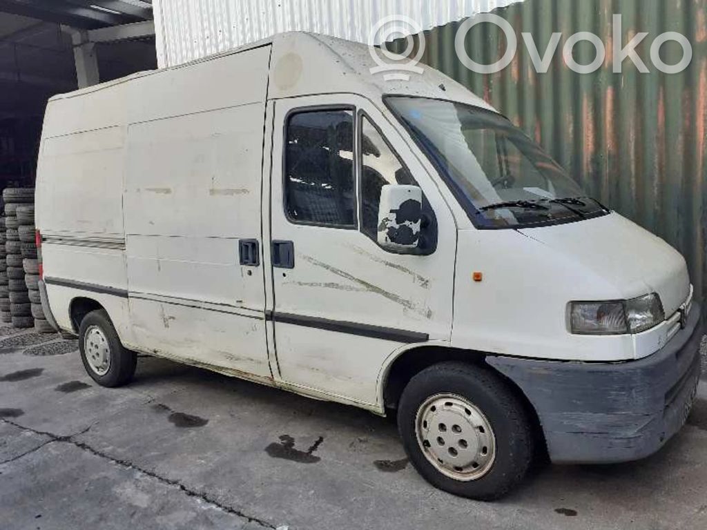 Boxer Boxer  4004E4