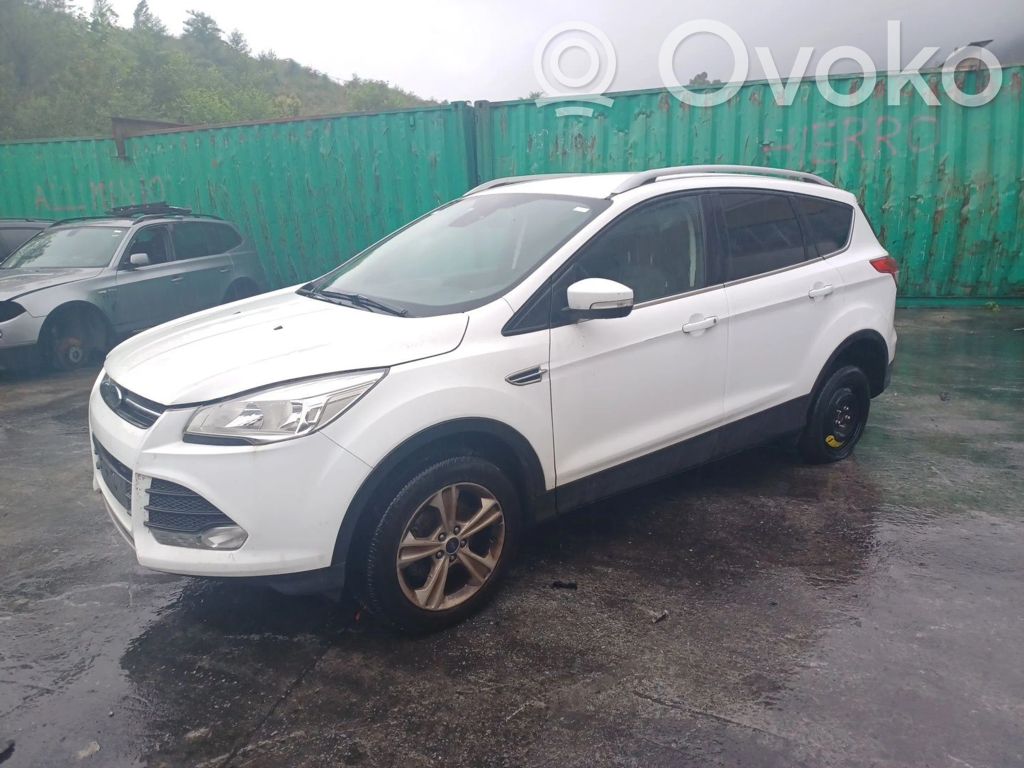 Kuga II Kuga