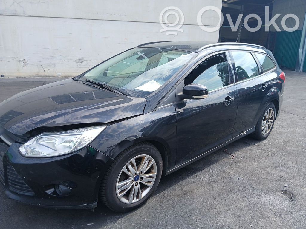 Focus Focus  BV618005BB
