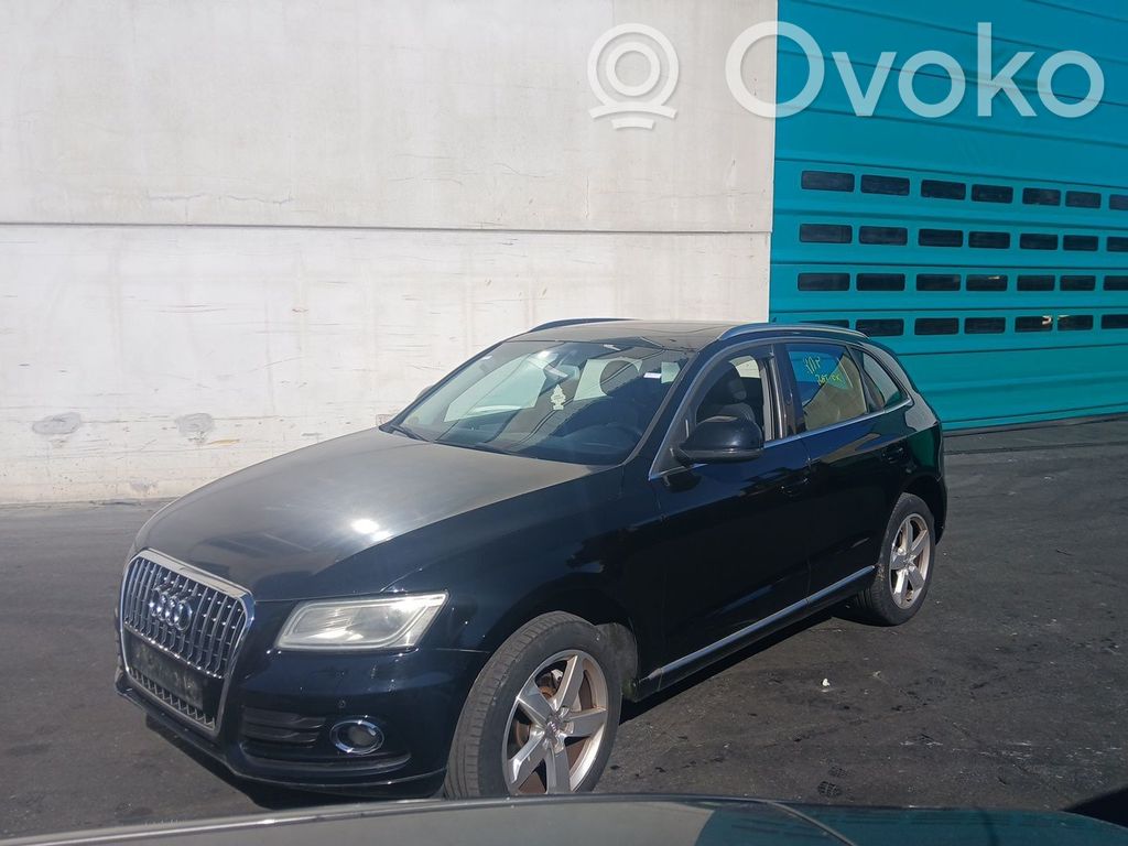 Q5 SQ5 8R Q5, SQ5