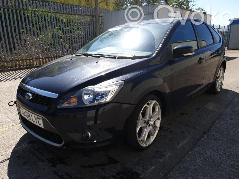 Focus Focus  10170103533