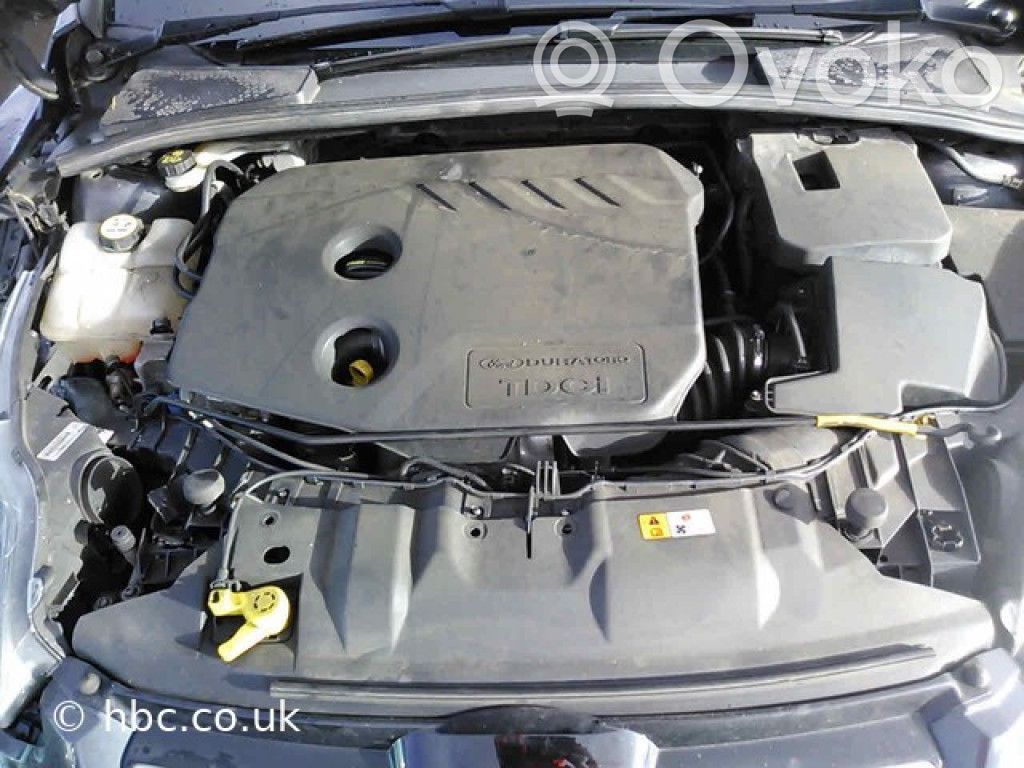 Focus Focus  AM5T18K811CD