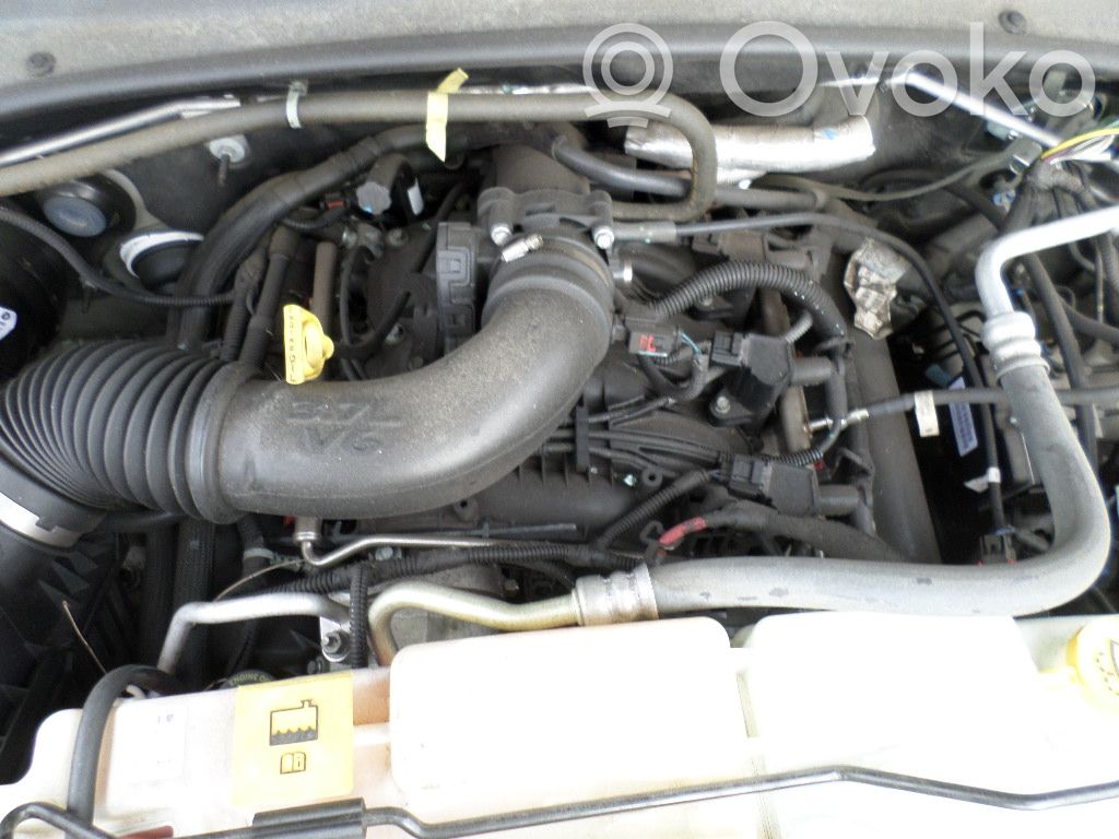 Cherokee Cherokee  15018501