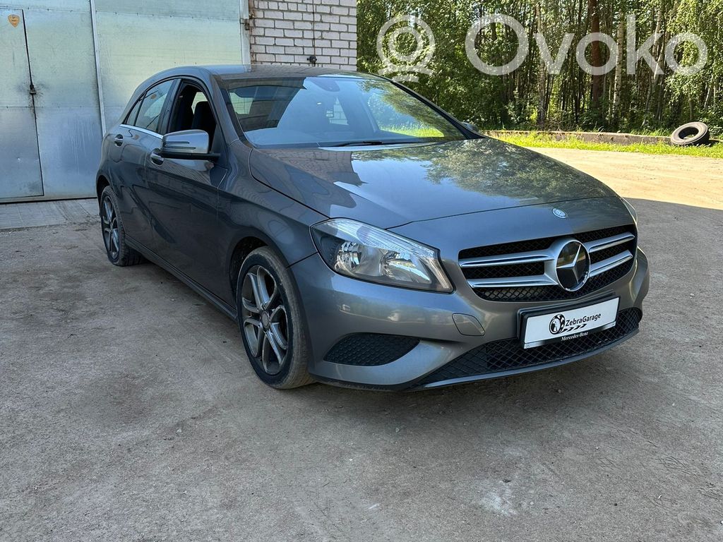 A W176 A-class  A1669000609